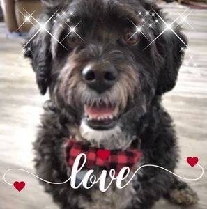 Meet your Posher, Patti